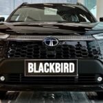 Tata Blackbird